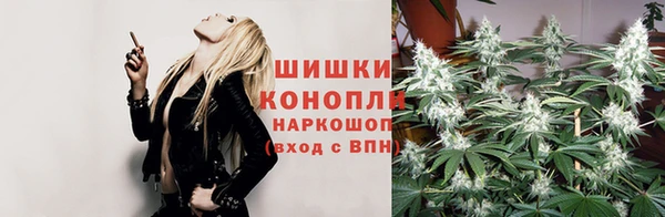 спайс Алзамай