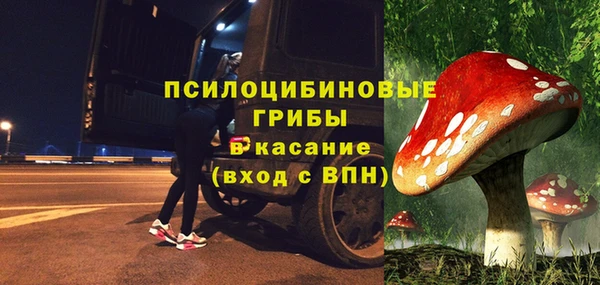 спайс Алзамай
