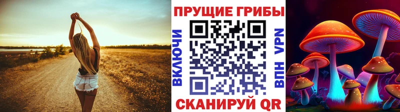 Псилоцибиновые грибы прущие грибы  Щигры 